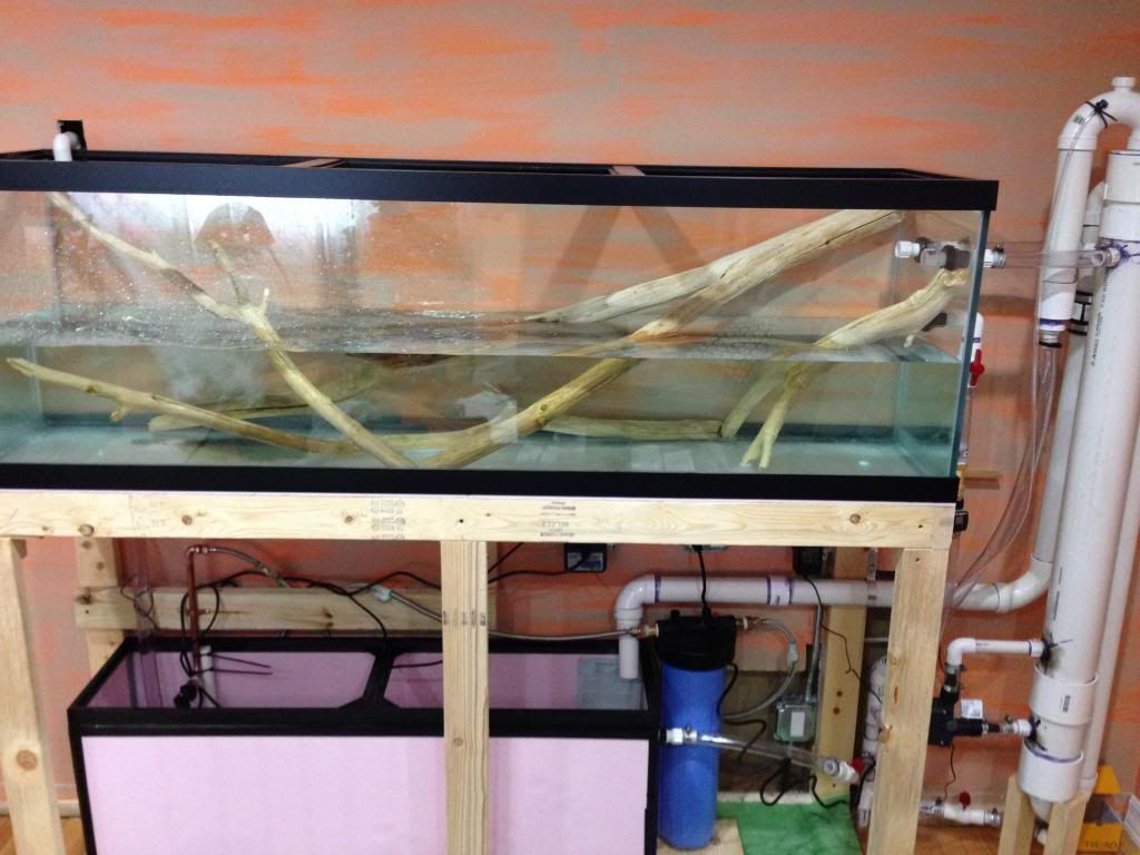 120 Gal Aquarium build. Diy sump, stand, overflow, LED lighting and
